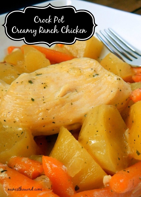 Crock Pot Creamy Ranch Chicken