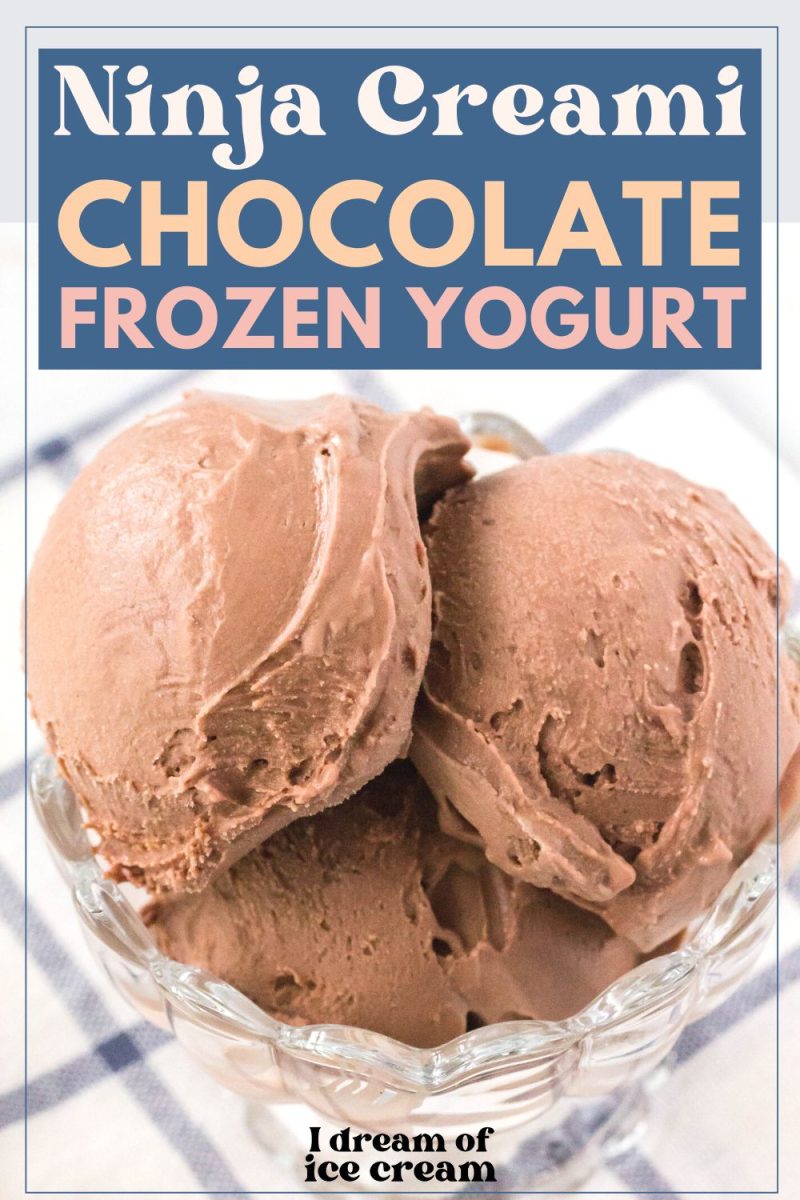 Chocolate Frozen Yogurt